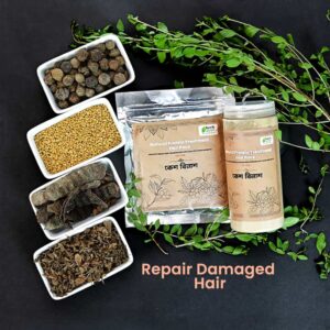 kesh bilash | কেশ বিলাশ | natural protein treatment hair pack (300 gm)