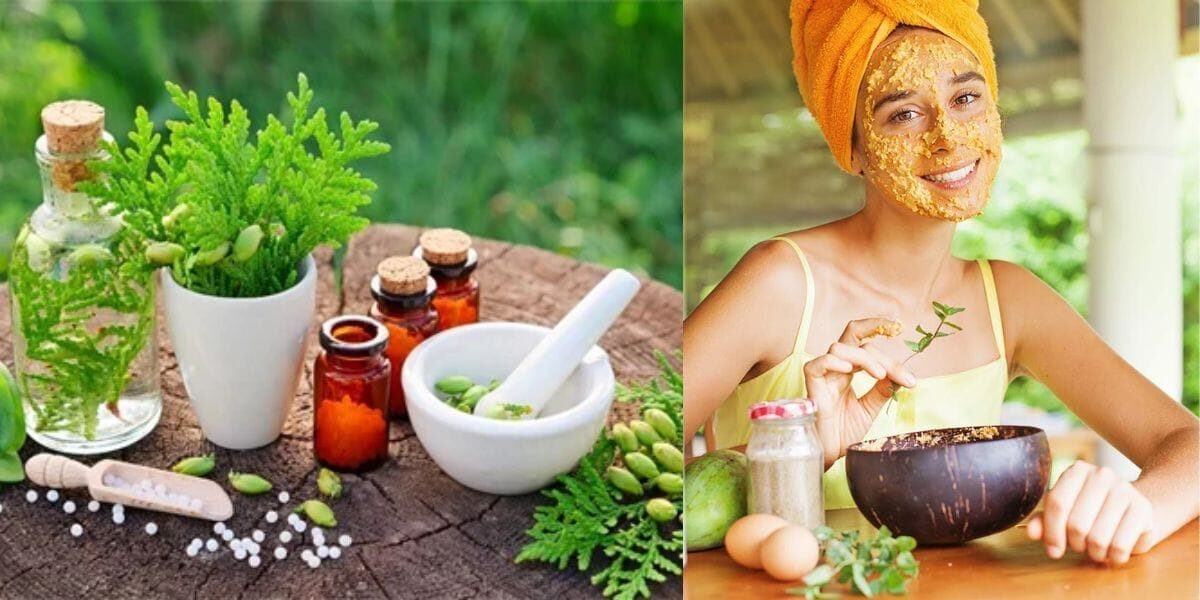 হারবাল এবং অর্গানিক ফেসপ্যাক এর মধ্যে পার্থক্য