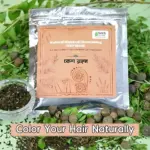 kesh rangan। কেশ রঙ্গন। natural mehendi nourishing hair mask (100gm)