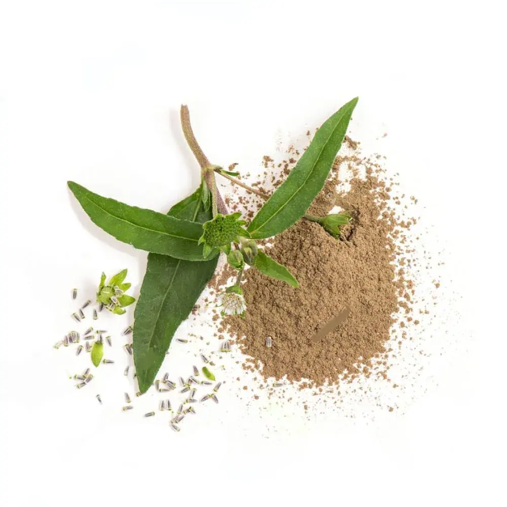 false daisy powder (ভৃঙ্গরাজ গুঁড়ো) 50gm