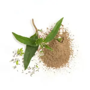 false daisy powder (ভৃঙ্গরাজ গুঁড়ো) 50gm