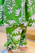 parrot green color makhon silk printed co ords