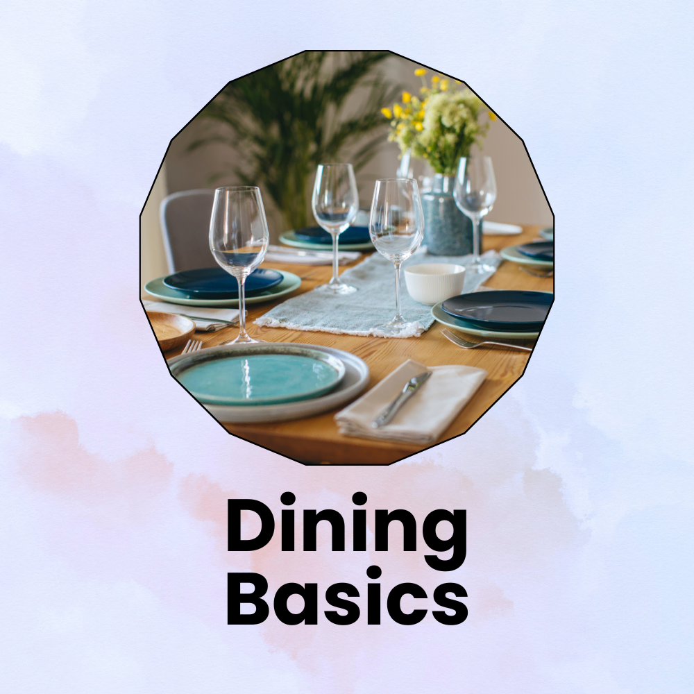 app banner cat dining basics important accessories 0916