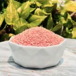desi masoor lentil | দেশি মুসুর ডাল (মেশিনে ভাঙা) 1kg