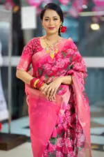 vip organza saree