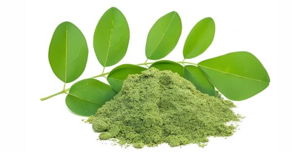 মরিঙ্গা