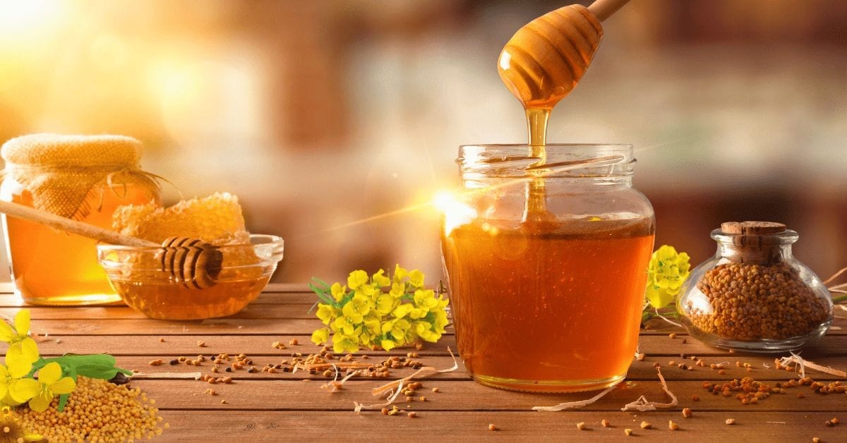 সরিষা ফুলের মধুর উপকারিতা এবং খাওয়ার নিয়ম