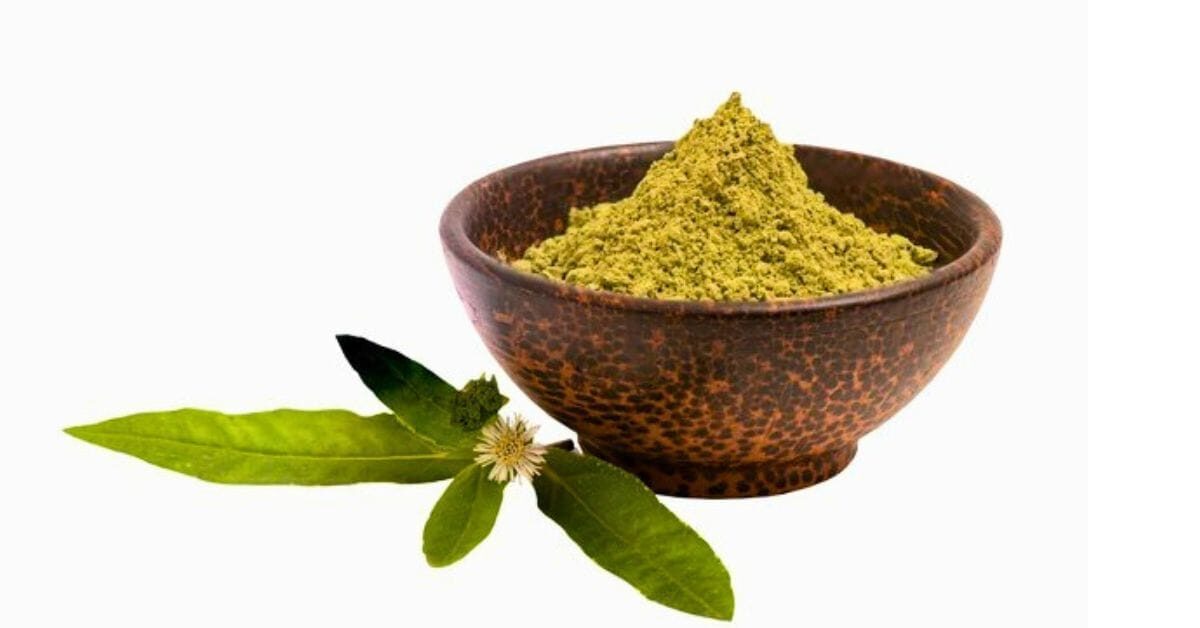 ভৃঙ্গরাজ গুঁড়োর উপকারিতা