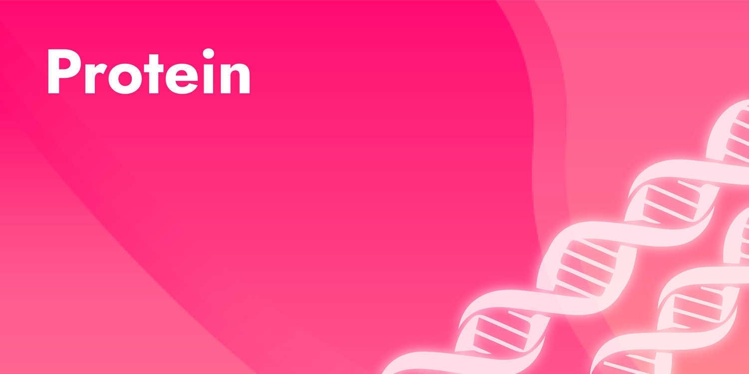 app banner protein