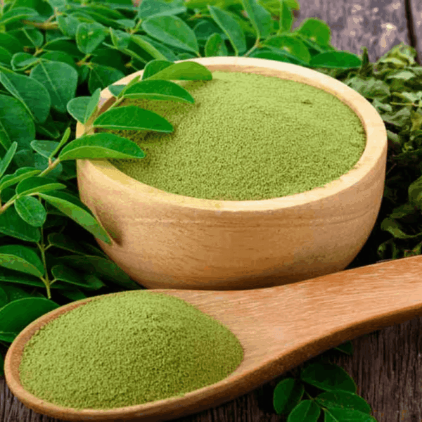 moringa powder (সজিনা পাতা গুঁড়ো) 100 gm